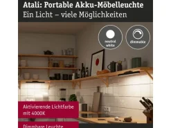 Paulmann Mobile Möbelaufbauleuchte Atali Schwarz
