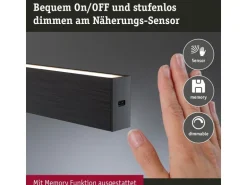 Paulmann Pendelleuchte LED Touchless Sensor Aptare Schwarz