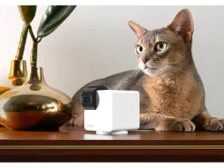 Petcube Haustierkamera 360 Cam