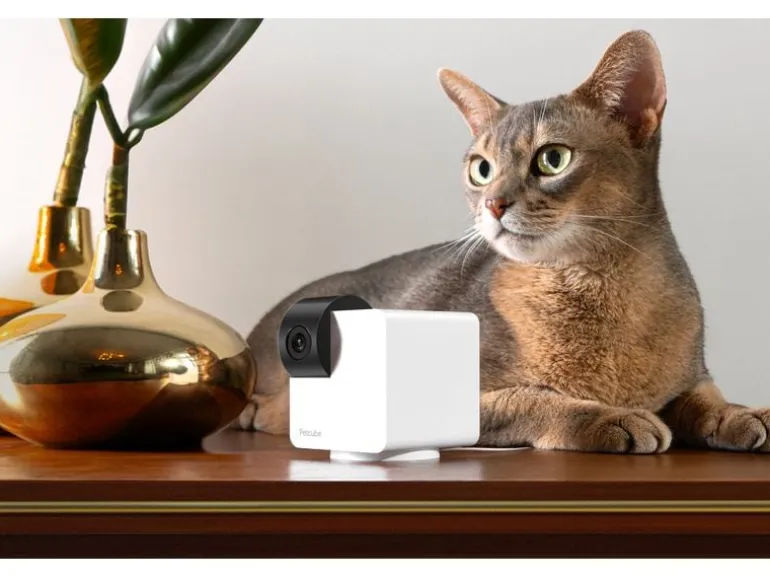 Petcube Haustierkamera 360 Cam