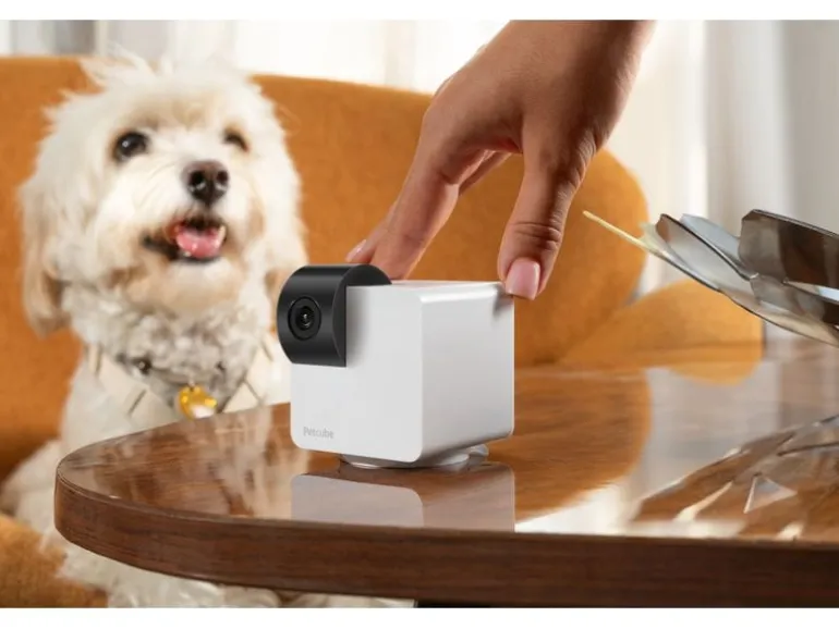 Petcube Haustierkamera 360 Cam