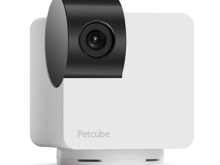 Petcube Haustierkamera 360 Cam