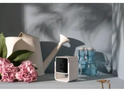 Petcube Haustierkamera Pet Cube