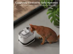 Petlibro Wasserautomat Dockstream Battery-Operated Fountain, 2.5 l