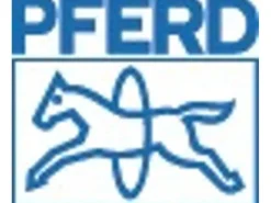 Pferd Fächerschleifscheibe PFC 125 Z 40 Start Steelox