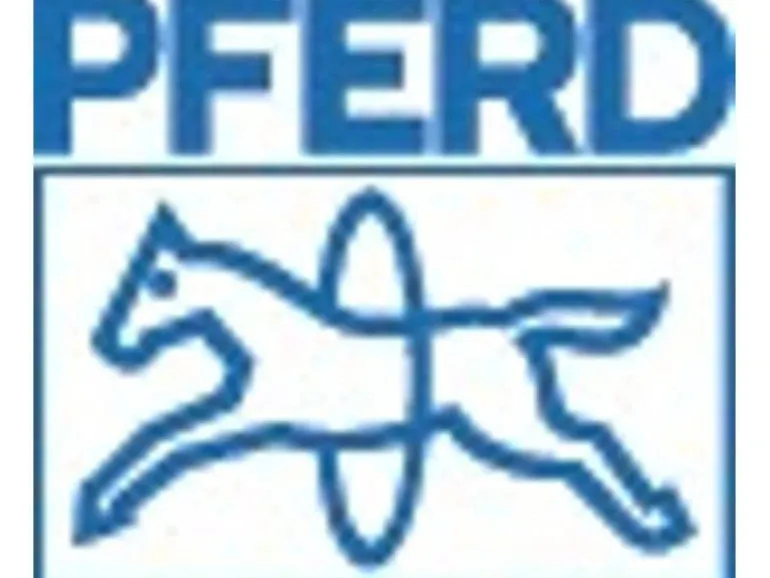 Pferd Fächerschleifscheibe PFC 125 Z 40 Start Steelox