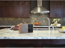 Philips DAB+ Radio TAR5505 Braun/Grau