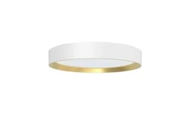 Philips Deckenleuchte Hanno SceneSwitch 2700K, 2700 Lm, Weiss-Gold