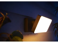 Philips Hue Aussenstrahler White Outdoor Welcome Flutlicht Schwarz