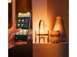 Philips Hue Leuchtmittel White Ambiance E27 Doppelpack 2 x 1100 lm