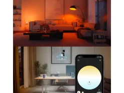 Philips Hue Leuchtmittel White & Col. Amb. E27 Einzelpack 1600 lm