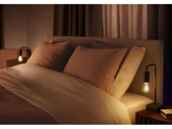 Philips Hue Leuchtmittel White Ambiance E27 Einzelpack Filament 550 lm