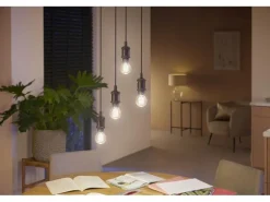 Philips Hue Leuchtmittel White Ambiance E27 Einzelpack Filament 550 lm
