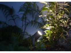 Philips Hue Outdoor Gartenspot White & Col. Amb. Lily Kit, Schwarz