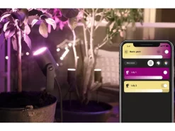 Philips Hue Outdoor Gartenspot White & Col. Amb. Lily Kit, Schwarz