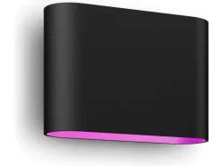 Philips Hue Wandleuchte White and Color Ambiance Dymera Aussenleuchte