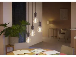 Philips Hue White Ambiance E27 Einzelpack Globe G93 Filament 550 lm