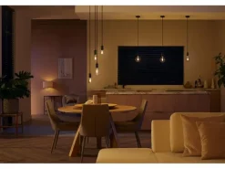 Philips Hue White Ambiance E27 Einzelpack Globe G93 Filament 550 lm