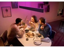 Philips Hue White & Col. Amb. Ensis Pendelleuchte schwarz 4750 lm