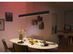 Philips Hue White & Col. Amb. Ensis Pendelleuchte schwarz 4750 lm