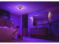 Philips Hue White & Color Ambiance, Xamento M, Schwarz, BT