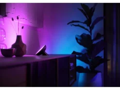 Philips Hue White & Color Ambiance Bloom Tischleuchte Schwarz