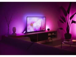 Philips Hue White & Color Ambiance Bloom Tischleuchte Schwarz