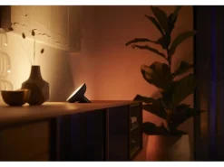 Philips Hue White & Color Ambiance Bloom Tischleuchte Schwarz