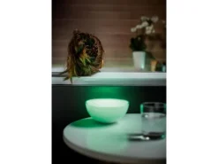 Philips Hue White & Color Ambiance Go Tischleuchte Weiss