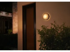 Philips Hue White & Color Ambiance Outdoor Daylo Wandleuchte Schwarz