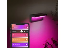 Philips Hue White & Color Ambiance Outdoor Nyro Wandleuchte Schwarz