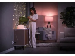 Philips Hue Zubehör Smart Plug Steckdose CH Weiss, Bluetooth