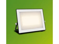 Philips Lois Flutlicht 50W 3000K IP65 schwarz 50 W