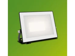 Philips Lois Flutlicht 20W 3000K IP65 schwarz 20 W