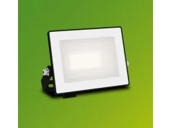 Philips Lois Flutlicht 10W 3000K IP65 10 W