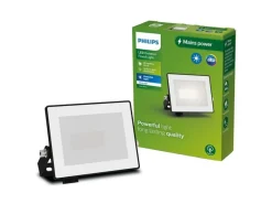 Philips Lois Flutlicht 10W 3000K IP65 10 W