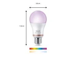 Philips PHI WFB 100W A60 E27 60W, E27