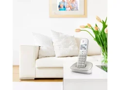 Philips Schnurlostelefon XL4901S  Champagner