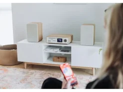 Pure Micro-HiFi Anlage Classic Stereo Eiche/Weiss