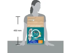 Purina ONE Trockenfutter Senior 7+ Huhn 3 kg