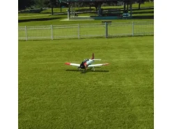 Realflight RC-Flugsimulator RealFlight Evoluion nur Software