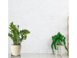 relaxdays Pflanzenroller Silber/Grau