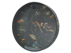 Remo Ocean Drum 16" Fish Graphic