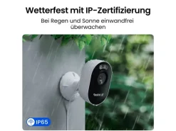 Reolink Netzwerkkamera Lumus Pro E450 4K 8 MP
