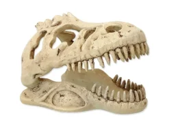 Repti Planet Dekoschädel T-Rex