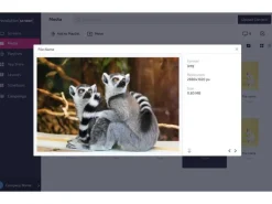 revolutionSCREEN Digital Signage Software revolutionScreen Pro 1 Jahr