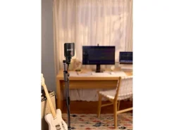 Rode Kondensatormikrofon NT-USB+
