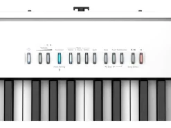 Roland E-Piano FP-30X