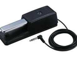 Roland Pedal DP-10