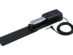 Roland Pedal DP-10